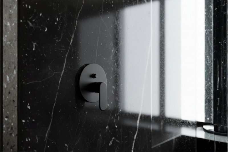 BLACK BUILT IN BATH SHOWER