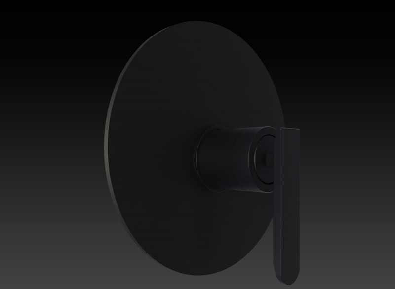 BLACK BUILT IN SHOWER