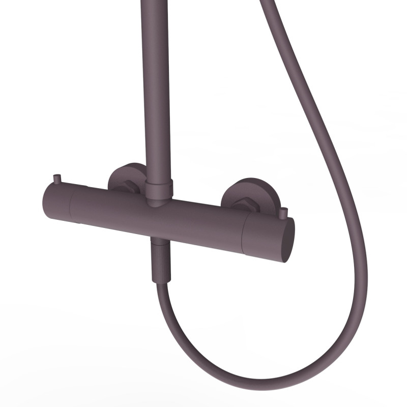 ENSEMBLE THERMOSTATIQUE EVOLUTION |  RTT